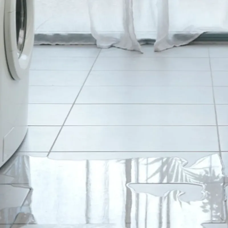 Appliance Leak Cleanup in Leelanau County, MI
