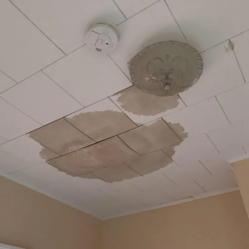 Ceiling Water Damage Repair in Leelanau County, MI