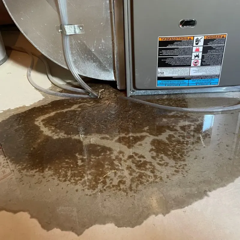 Pipe Burst and Leak Restoration in Leelanau County, MI
