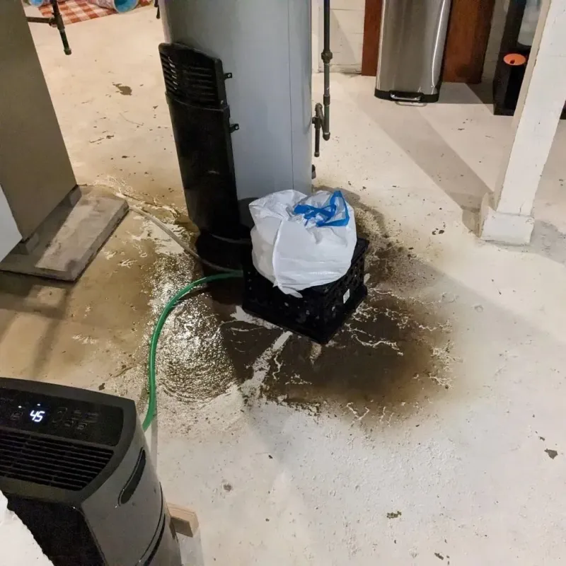 Sewage Backup Cleanup Service in Leelanau County, MI